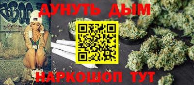 индика Аргун