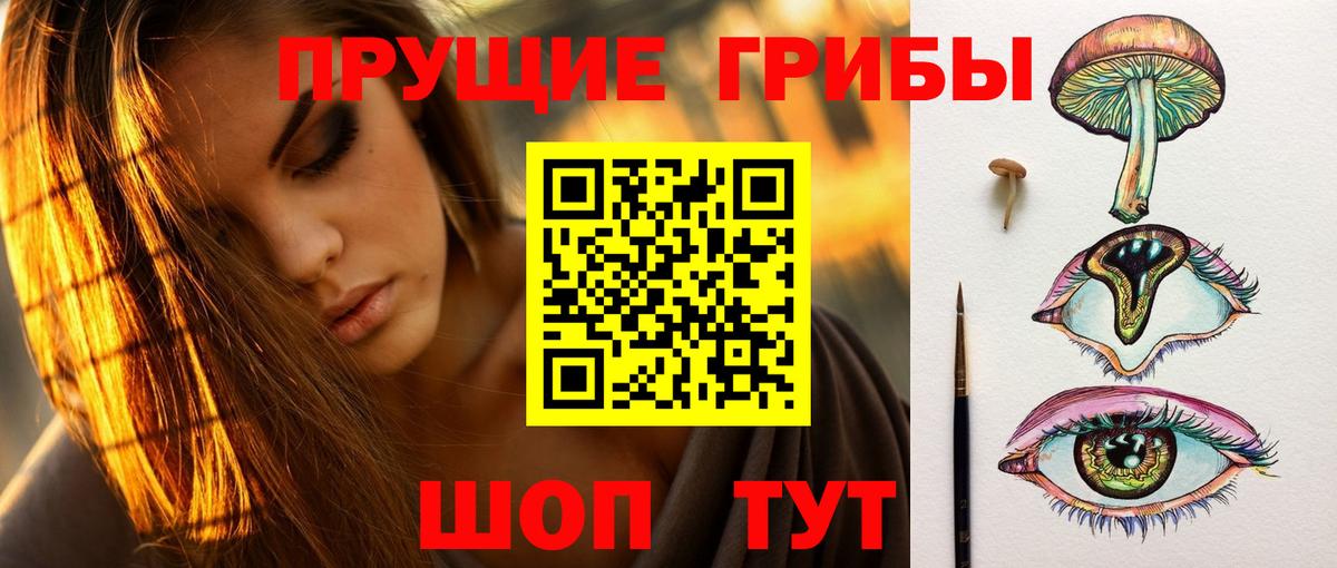 Белгород  Галлюциногенные грибы Psilocybine cubensis  хочу   Вход с VPN 